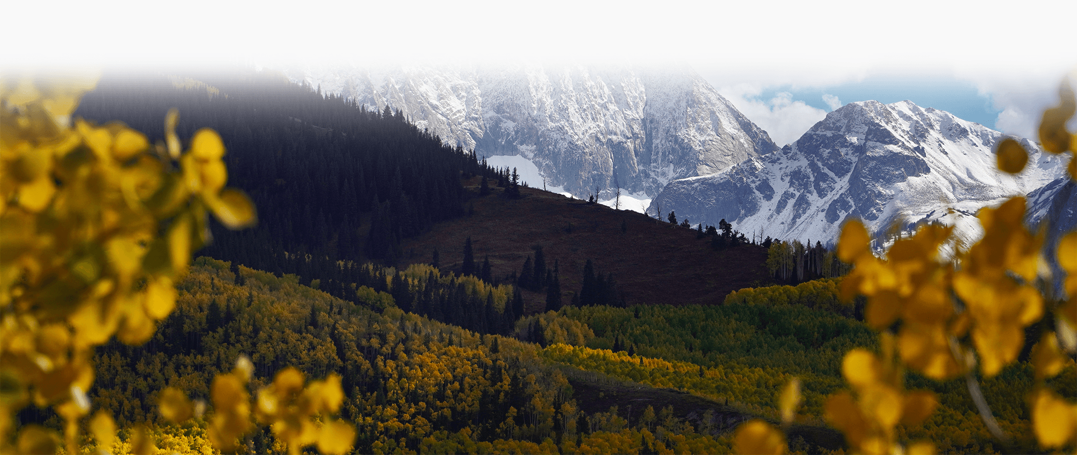 Looking through fall colors towards Capitol Peak in Aspen, Colorado.